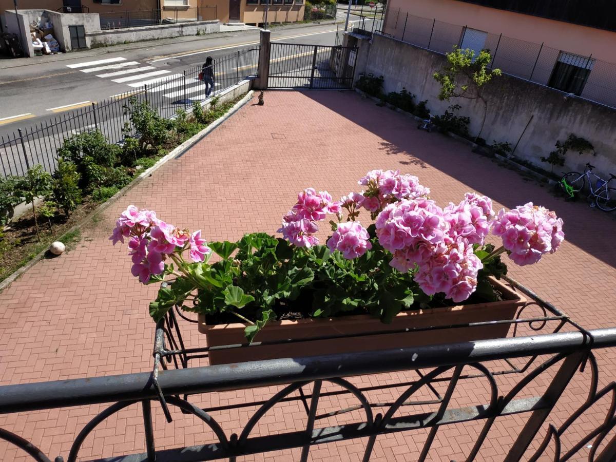 Casa Marina Apartment Verbania Exterior photo